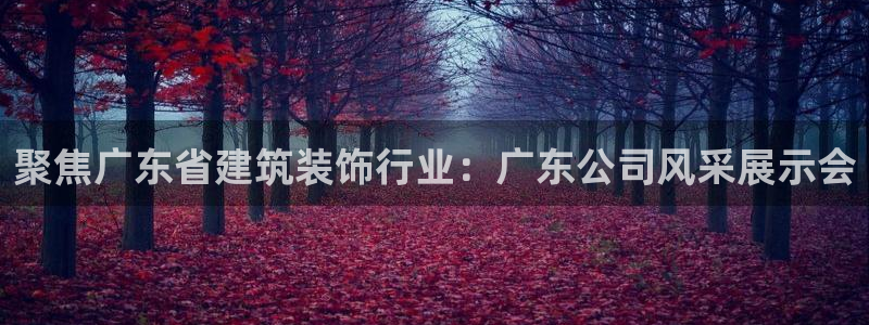 新航娱乐app下载