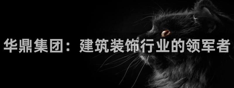 新航娱乐最新消息