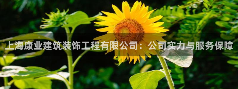 新航娱乐直开怎么下载